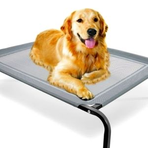 Elevated Pet Bed by Paws and Pals